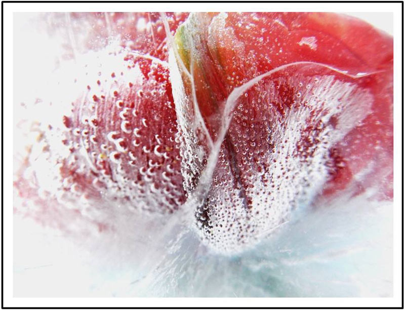 strawberry.jpg-a.jpg